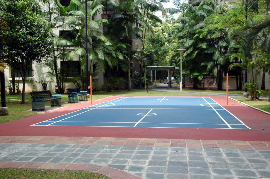 Blk 653 Senja Link (Bukit Panjang), HDB Executive #211072